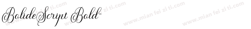 BolideScript Bold字体转换